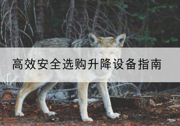 平利升降货梯厂家推荐-*安全选购升降设备指南