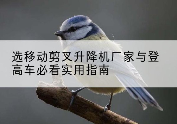 平利电动升降机厂家-选移动剪叉升降机厂家与登高车必看实用指南