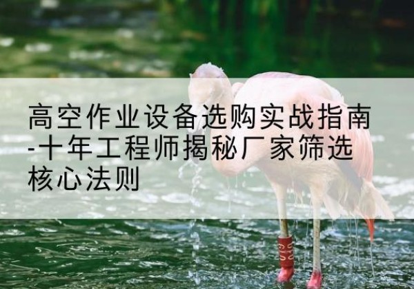 平利剪叉式升降机厂家-高空作业设备选购实战指南-十年工程师揭秘厂家筛选核心法则
