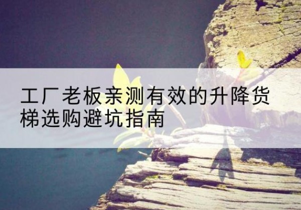 平利升降货梯怎么选-工厂老板亲测有效的升降货梯选购避坑指南